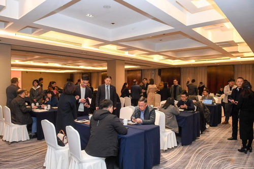 全市科技人才工作會及外國人才中介機構對接活動在桐舉行